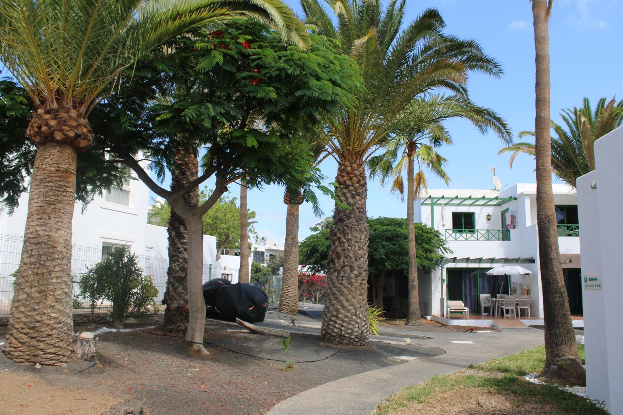 Appartement El Piso Del Puerto - Charm Puerto del Carmen (Lanzarote)
